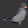 Flying Animal Pigeon Featuring Gray Body Blue Wings Colorful Iridescent Neck Orange Beak And Feet