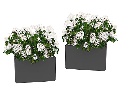 plant flower pot 3d model