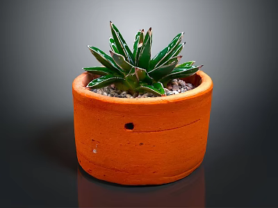 Succulent Plant With Green Leaves And White Stripes In Orange Terracotta Pot With Small Pebbles 3d model