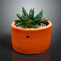 Succulent Plant With Green Leaves And White Stripes In Orange Terracotta Pot With Small Pebbles