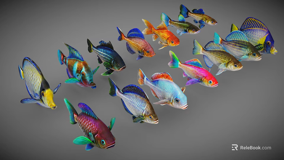 Colorful Aquatic Animals Various Fish With Bright Colors And Patterns Swimming Together 3d model 