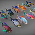 Colorful Aquatic Animals Various Fish With Bright Colors And Patterns Swimming Together