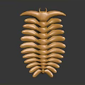 Light Brown Starfish With Curved Arms On Dark Background Showing Natural Shape And Texture