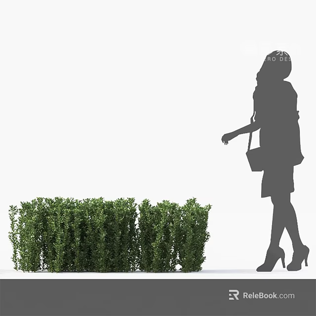 Green Shrubs in Front of White Background with Woman Silhouette Walking 3d model 