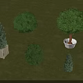 Potted Arbor Trees With Various Shapes Sizes And Planters On Green Grass Surface