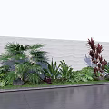 Varied Garden Plants With Palm Fronds Red Blooms Green Foliage By White Textured Wall
