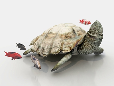 Turtle 3d model