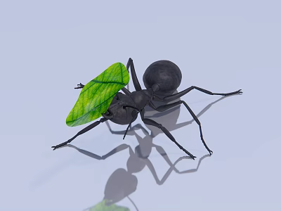 modern ant leaf-cutter ant 3d model modern ant leaf-cutter ant 3d model