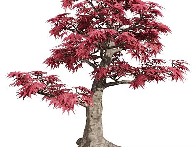 Elegant Arbor With Red Leaves For Stunning Outdoor Garden Landscape Design 3d model