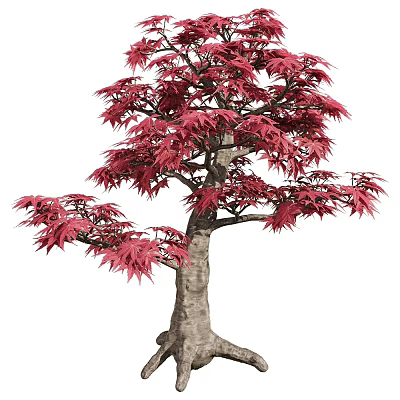 Elegant Arbor With Red Leaves For Stunning Outdoor Garden Landscape Design 3d model