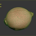 Fresh Orange Onion With Natural Texture On Black Background Surface 3d model