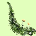 Crescent Shaped Plant Photo Spot With Green Vines Leaves Yellow And White Flowers