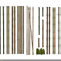 Various Natural Bamboo Stems In Green And Brown With Shoots And Leaves