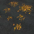 Scattered Yellow Autumn Leaves On Asphalt Ground In Fall Season