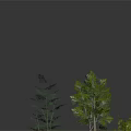 Various Types of Green Plants with Different Heights Shapes Trees and Shrubs 3D Rendering