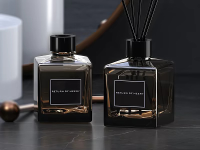 Scent of Serenity Luxury Fragrance Reed Diffuser in Dark Square Glass Bottles 3d model