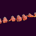 Red And Orange Flame Textured Claw Shaped Decorative Home Living Accessories