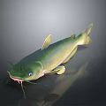 Vibrant Green Aquatic Catfish With Distinct Yellow Fins And Long Whiskers Isolated In Dark Background
