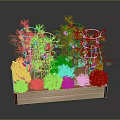 Tomato Plants With Red Fruits And Mixed Green Purple Foliage In Wooden Planter Box
