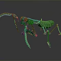 Green 3D Mechanical Mantis Robot Model With Sharp Claws And Detailed Structure