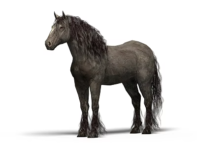 Majestic Gray Horse With Long Hair Standing Isolated On White Background 3d model