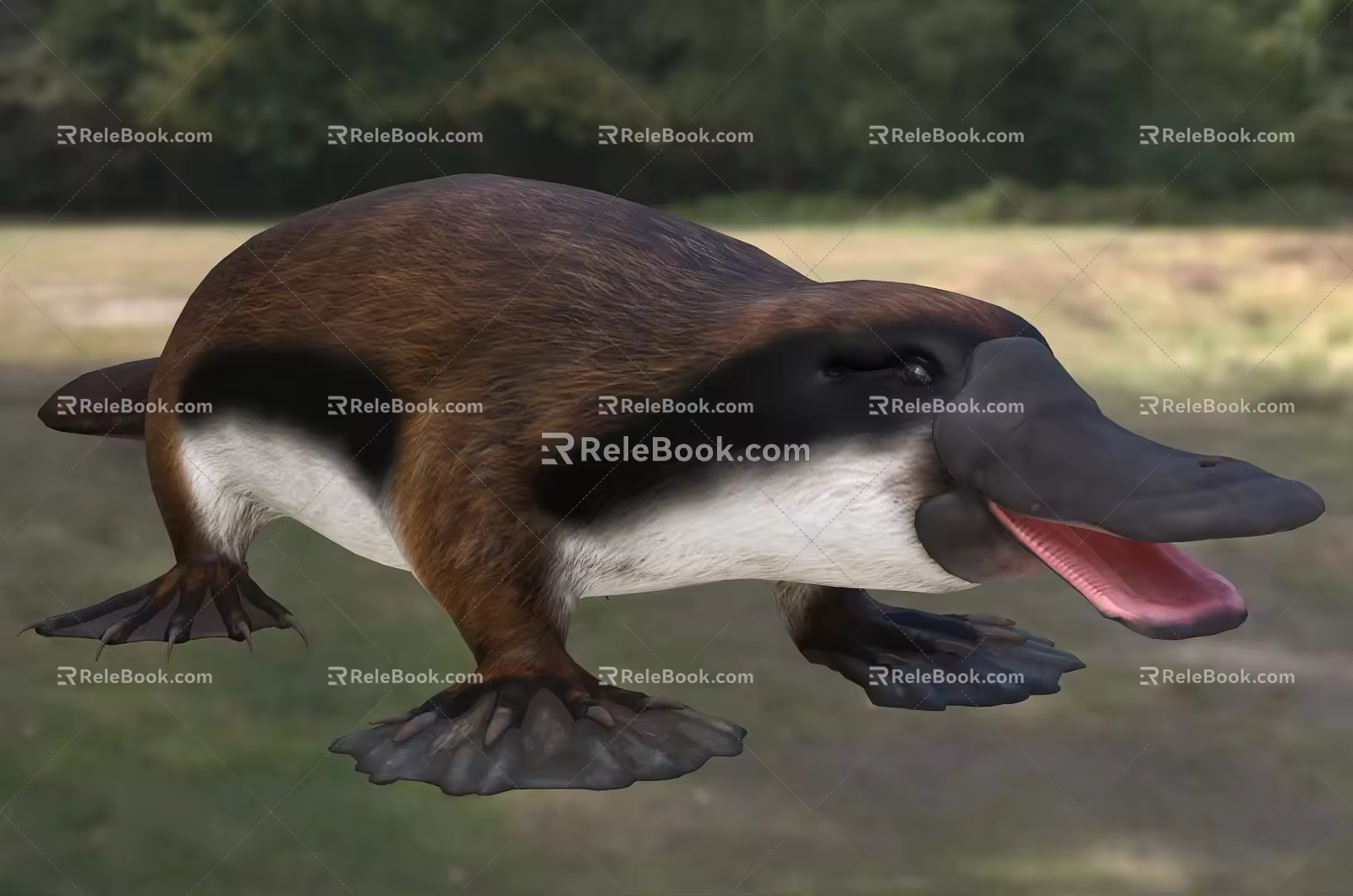 stubborn-toothed platypus talaco long-toothed platypus animal creature 3d model
