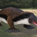 stubborn-toothed platypus talaco long-toothed platypus animal creature 3d model