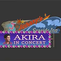 Colorful Decorative Business Signs Featuring Johnny's Seaside Inn And Akira In Concert