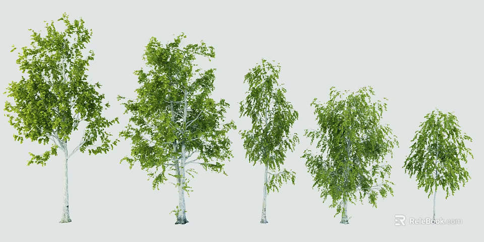 Birch Arbor Collection With Green Leaves And White Trunks In Various Sizes 3d model 