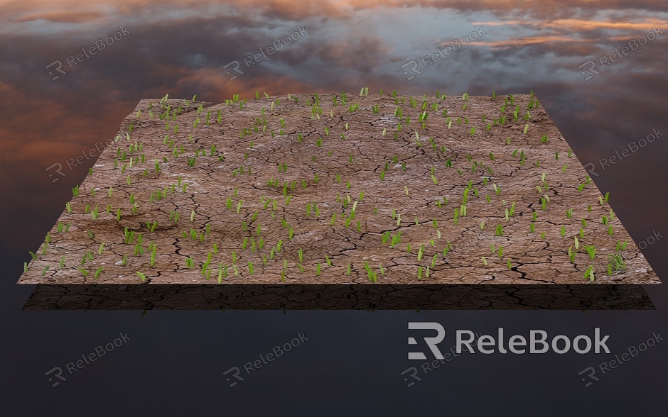 Ground Dry Land Grass Sprouting Summer Hot Crack Outdoor Outdoor Sky HDR model