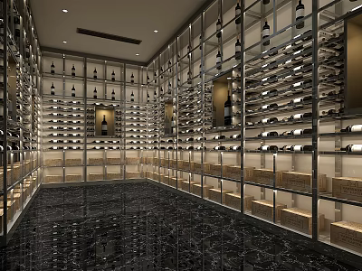 Elegant Modern Wine Cellar Design Featuring Glass Racks Wine Bottles And Marble Floor 3d model