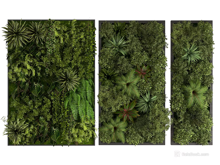 Indoor Living Plant Wall Decor With Lush Green Foliage And Varieties 3d model 