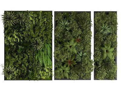 Indoor Living Plant Wall Decor With Lush Green Foliage And Varieties 3d model