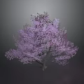 Purple Flowering Fruit Tree Bearing Fresh Edible Berries And Juicy Produce