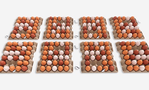 Modern Agricultural Products Egg Combination Egg Basket Egg Basket Egg Basket Duck Egg Combination 3d model