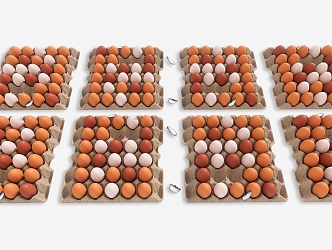 Modern Agricultural Products Egg Combination Egg Basket Egg Basket Egg Basket Duck Egg Combination 3d model