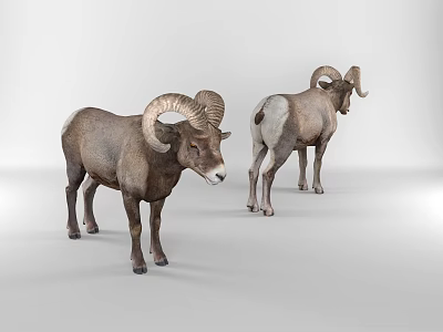 Two Reptiles Green Lizards Perching On Rock Surface With Scaly Skin And Long Tails 3d model