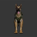German Shepherd Standing in White Background With Green Tactical Vest and Tongue Out
