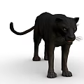 Realistic 3D Rendered Wild Black Panther Standing Posture With Sharp Eyes And Black Fur