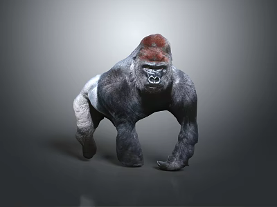 Gorilla With Red Crown And Dark Gray Body In Standing Posture On Simple Gray Background 3d model