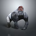 Gorilla With Red Crown And Dark Gray Body In Standing Posture On Simple Gray Background