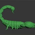 Detailed Green Scorpion Model Isolated on Black Background with Glossy Surface