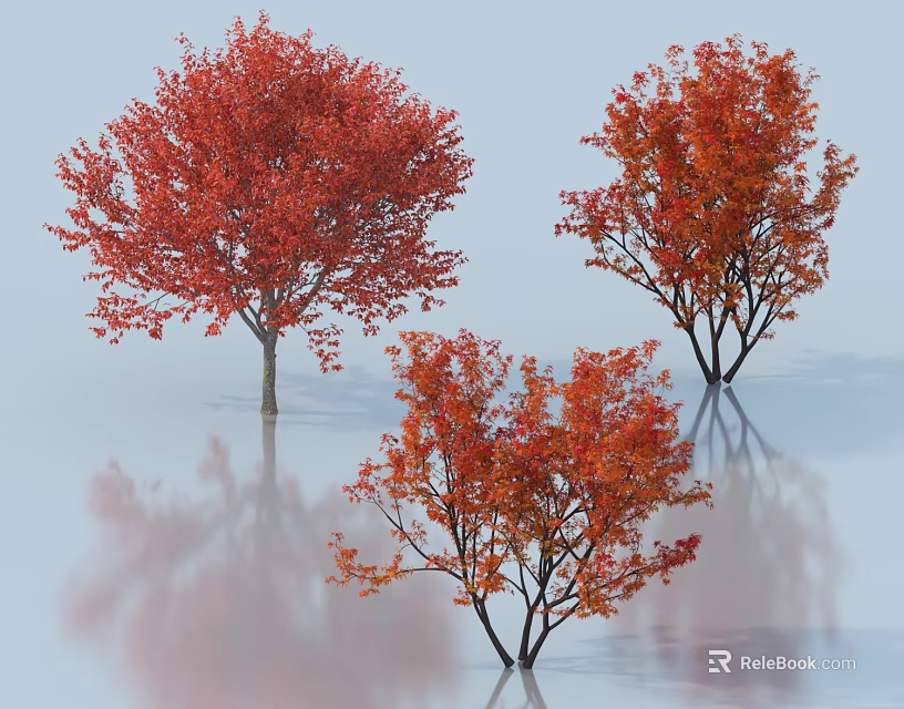 Vibrant Red and Orange Leaf Trees with Reflections on Light Blue Background 3d model