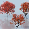 Vibrant Red and Orange Leaf Trees with Reflections on Light Blue Background 3d model