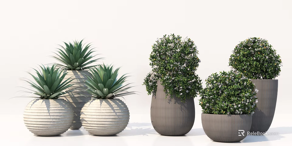 Bonsai Potted Plants With Lush Green Foliage Small White Flowers In Textured Gray White Pots 3d model 