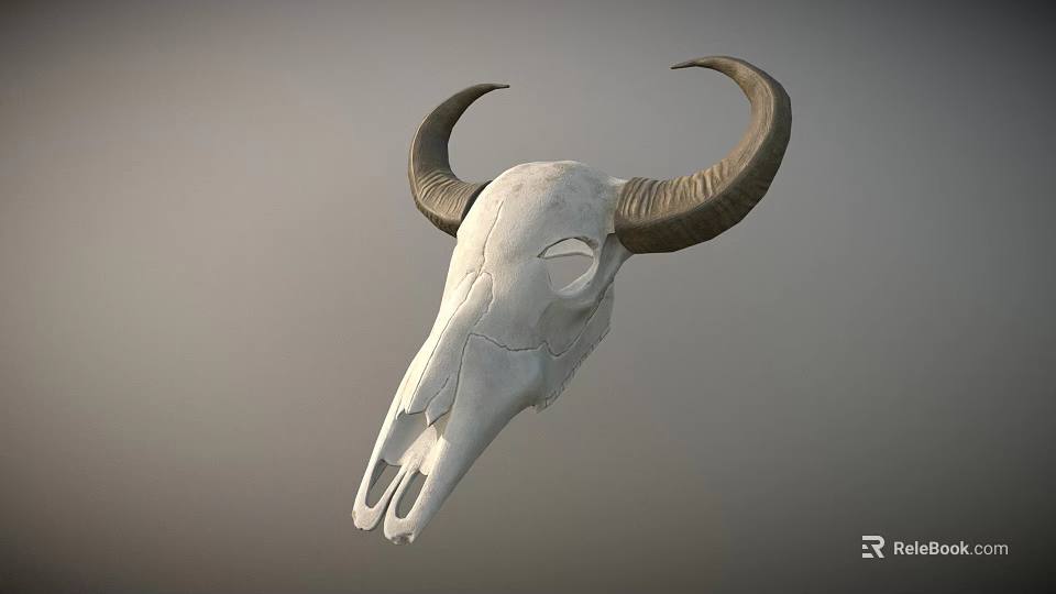 Game Movie Character Bull Skull With Large Horns White Bone And Gray Gradient Background 3d model 