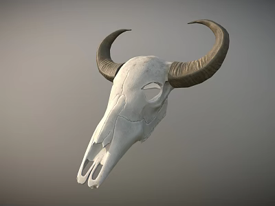 Game Movie Character Bull Skull With Large Horns White Bone And Gray Gradient Background 3d model