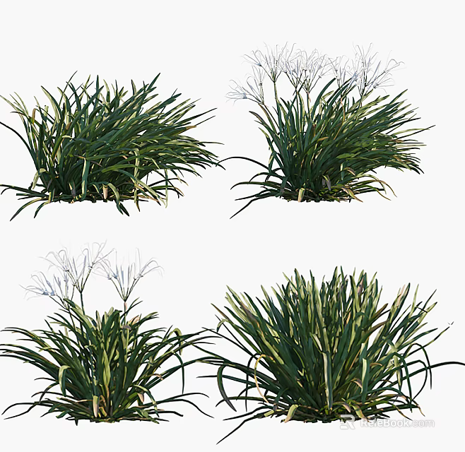 Decorative Green Plants Featuring White Slender Petals and Lush Leaves in Different States 3d model 