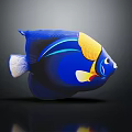 Colorful Blue Stuffed Fish Toy With Yellow And White Accents On Dark Background