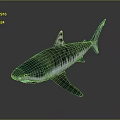 3D Rendered Shark With Blue Green And White Stripes On Dark Background With Reflection